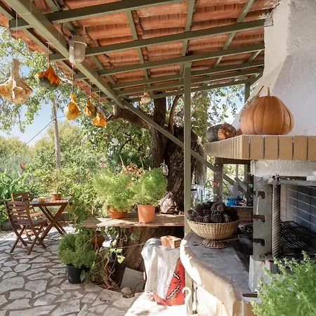 Guest house Nontas 24